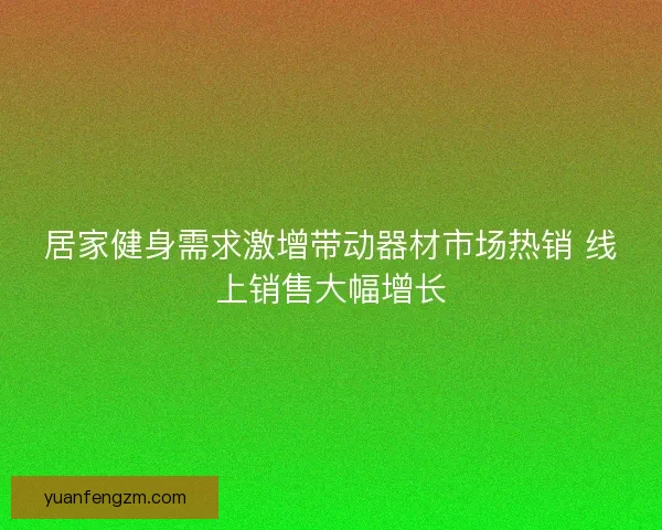 居家健身需求激增带动器材市场热销 线上销售大幅增长