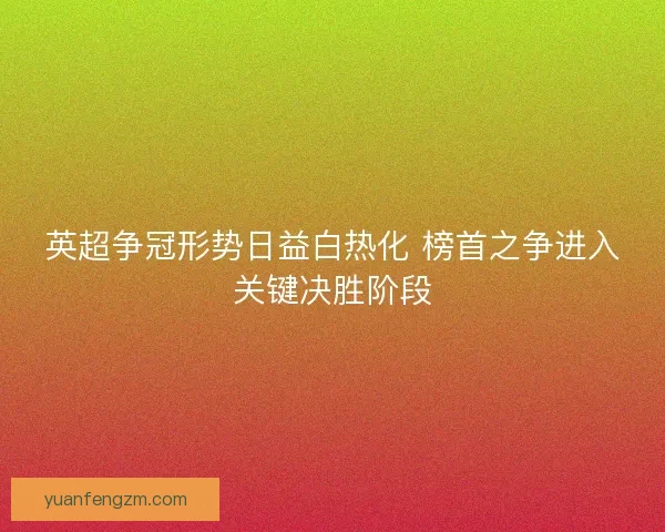 英超争冠形势日益白热化 榜首之争进入关键决胜阶段