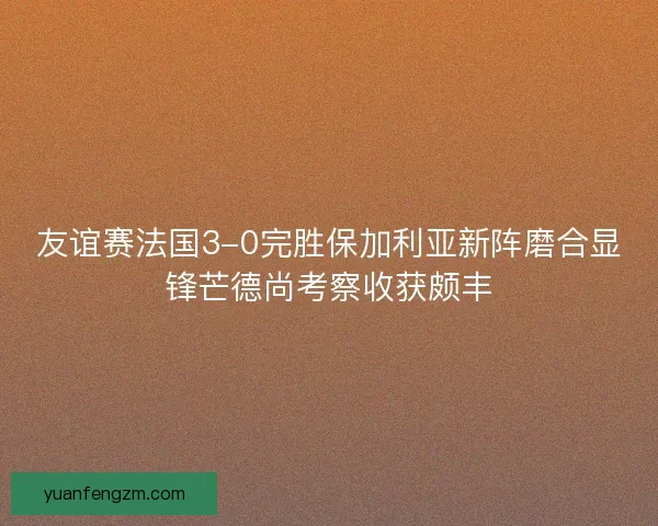 友谊赛法国3-0完胜保加利亚新阵磨合显锋芒德尚考察收获颇丰 友谊赛法国3-0完胜保加利亚新阵磨合显锋芒德尚考察收获颇丰