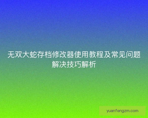 无双大蛇存档修改器使用教程及常见问题解决技巧解析