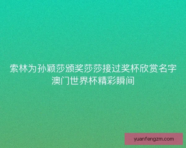 索林为孙颖莎颁奖莎莎接过奖杯欣赏名字澳门世界杯精彩瞬间